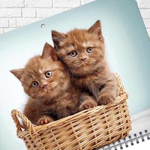 Kalendarz ścienny KOT 310mm x 790mm Press