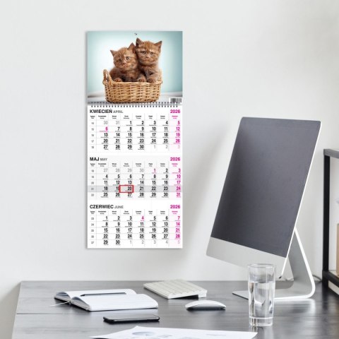 Kalendarz ścienny KOT 310mm x 790mm Press