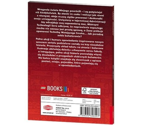 Książeczka edukacyjna LEGO® NINJAGO®. Moce i zdolności Ameet (LNR 6728)