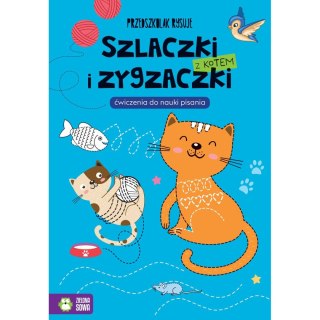 Książeczka edukacyjna Przedszkolak rysuje. Szlaczki i zygzaczki z kotem Zielona Sowa