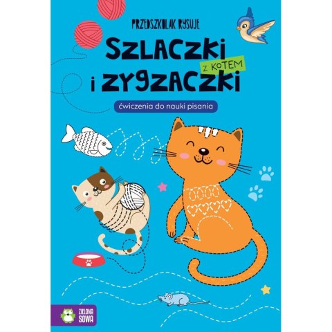 Książeczka edukacyjna Przedszkolak rysuje. Szlaczki i zygzaczki z kotem Zielona Sowa