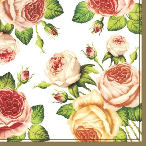 Serwetki mix bibuła [mm:] 330x330 Pol-mak (SL og)