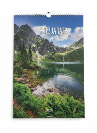 Kalendarz ścienny wieloplanszowy paskowy 285mm x 420mm Avanti (A3-7)