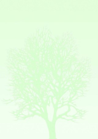 Papier ozdobny (wizytówkowy) A4 100g Galeria Papieru (230410)