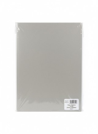 Papier ozdobny (wizytówkowy) A4 pearl jasnosrebrny srebrny 135g Galeria Papieru (206213)