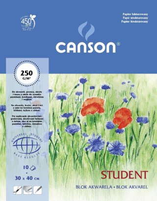 Blok artystyczny Student A3 250g 10k [mm:] 300x400 Canson (200005507)