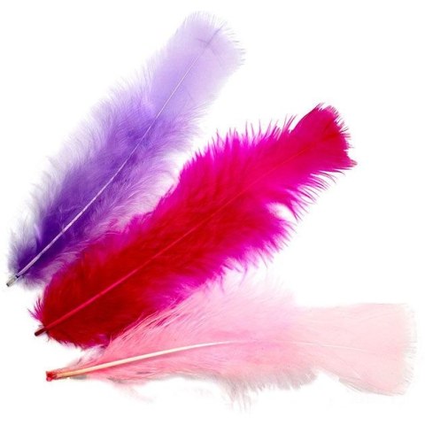 Piórka Craft-Fun Series mix Titanum (16079G)