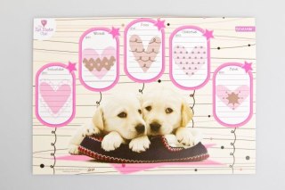 Plan lekcji Pet Poets Club z magnesem Beniamin (600342)