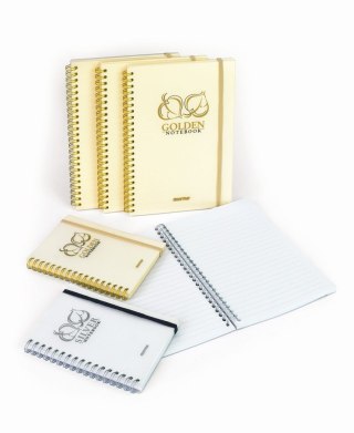 Kołozeszyt (kołonotatnik) A5 Golden&Silver 80k. 80g linia Mintra (92648)