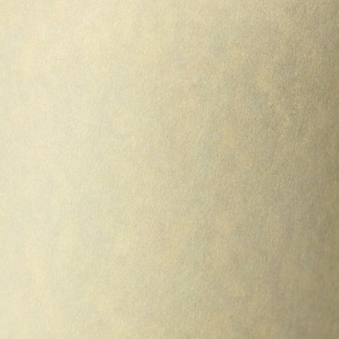 Papier ozdobny (wizytówkowy) A4 Granit kremowy 220g Galeria Papieru (200402)