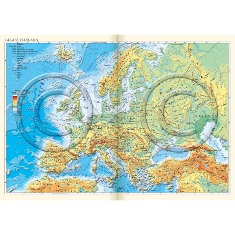 Kalendarz książkowy (terminarz) NENUFARY A5 Lucrum (21DS)