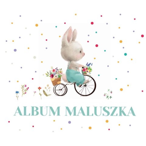 Książeczka edukacyjna Album maluszka Zielona Sowa
