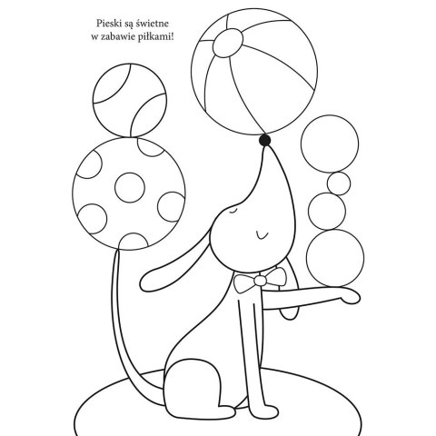 Książka dla dzieci A-4/16 Interdruk (5902277293404)