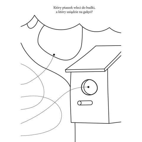 Książka dla dzieci A-4/16 Interdruk (5902277293404)