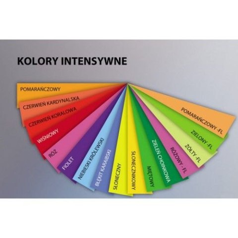 Papier kolorowy A4 kolorowy żółty 500k. 80g Trophee (xca42977)