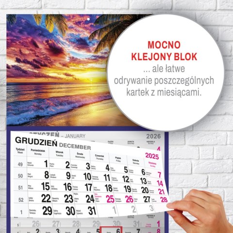 Kalendarz ścienny PLAŻA A4 210mm x 450mm Press