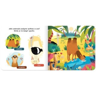 Książka dla dzieci Raz, dwa, trzy - szukam! W zoo