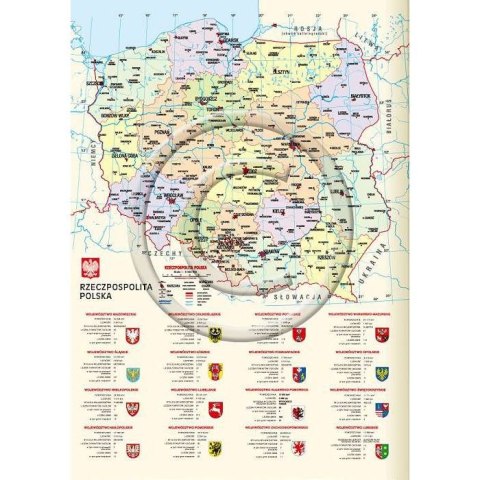 Kalendarz książkowy (terminarz) A6 Lucrum (TS11)