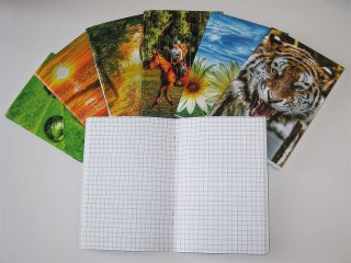 Notes (notatnik) A6 40k. krata [mm:] 100x145 Warta (120-033)