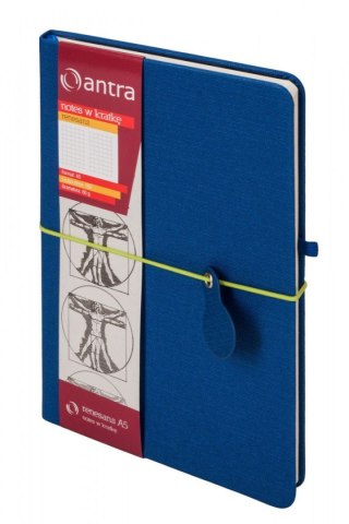 Notes (notatnik) A5 RENESANS NIEBIESKI 96k. krata Antra