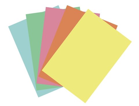 Papier ksero A4 pastelowy mix 100k. 80g Flamingo