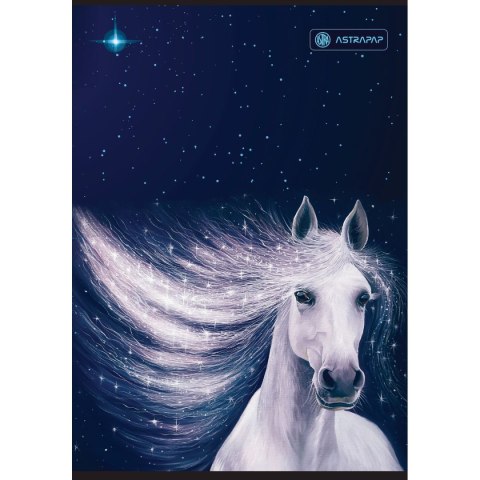 Zeszyt A5 60k. linia Astrapap (102023011)