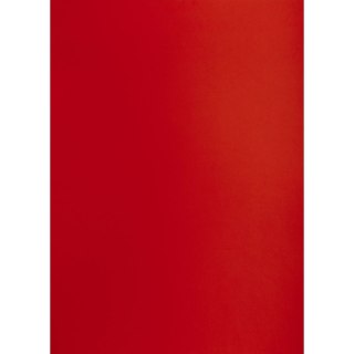 Brystol CZERONY CIEMNY B1 czerwony ciemny 225g 25k Creatinio (400150263)