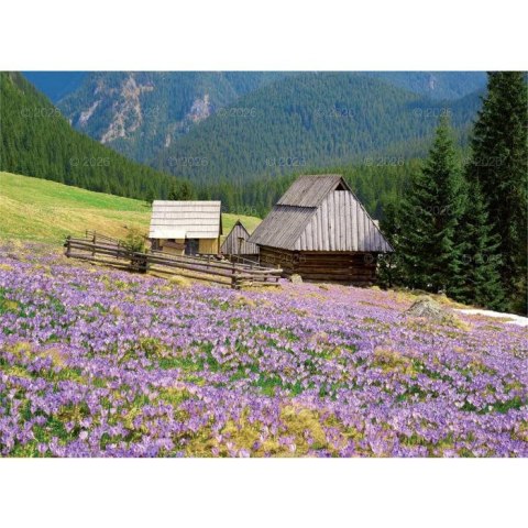 Kalendarz ścienny PEJZAŻE TATRZAŃSKIE 13-planszowe 2024 320mm x 470mm Lucrum (RW05)