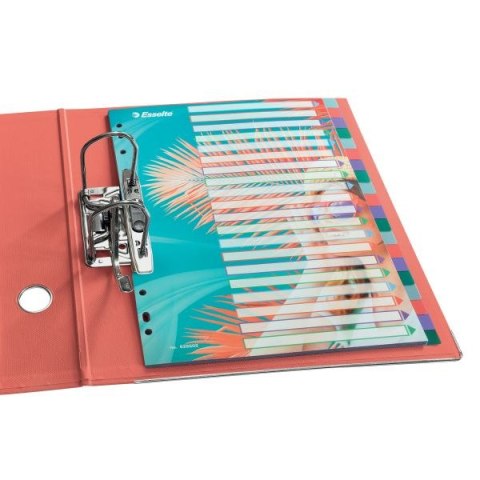 Przekładka czysta Colour Breeze A4 mix 20k Esselte (628502)