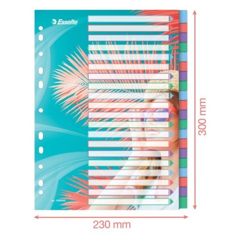 Przekładka czysta Colour Breeze A4 mix 20k Esselte (628502)