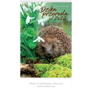 Kalendarz ścienny MALARSTWO IMPRESJONISTÓW 13-planszowe 2024 320mm x 470mm Lucrum (RW07)