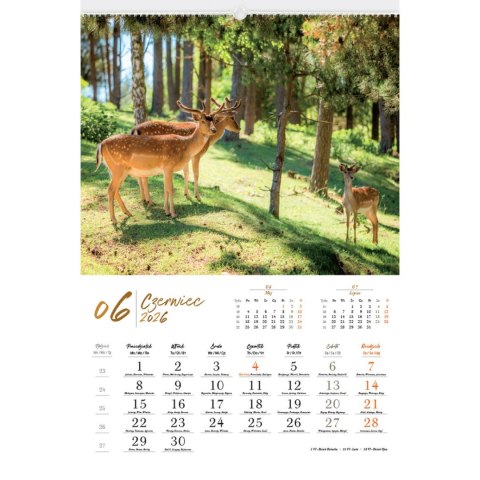 Kalendarz ścienny MALARSTWO IMPRESJONISTÓW 13-planszowe 2024 320mm x 470mm Lucrum (RW07)