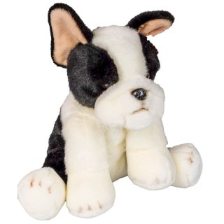 Pluszak pies Boston terrier [mm:] 300 Anek (844404BS)