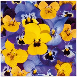 Serwetki TaT Looking Pansies mix bibuła [mm:] 330x330 Paw (TL126500)