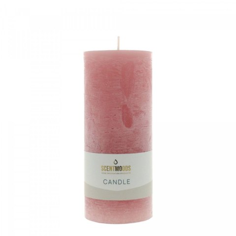 Świeca pieńkowa 6,3X15cm w kolorze Coral śr. 60mm Pavoncella (8720935400967)