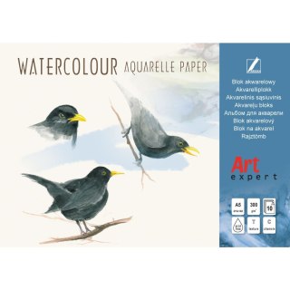 Blok artystyczny akwarelowy A5 300g 10k Kreska