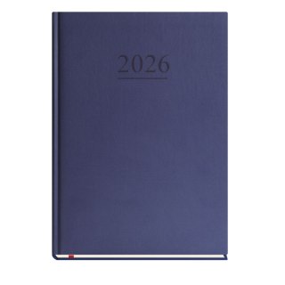 Kalendarz książkowy (terminarz) klasyczny B5 Michalczyk i Prokop (T221V-G)