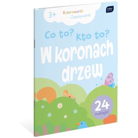Kolorowanka CO TO ? KTO TO? A4 16 z naklejkami Interdruk (5902277312112)