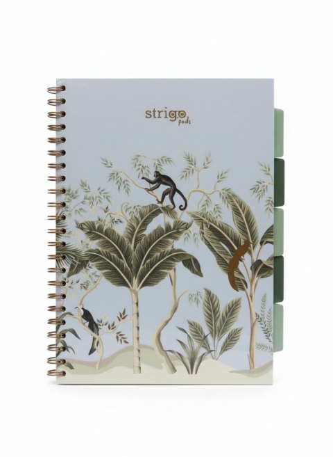 Kołozeszyt (kołonotatnik) A4 AFRYKA pastelowy niebieski 100k. 80g krata Strigo (PADS068)