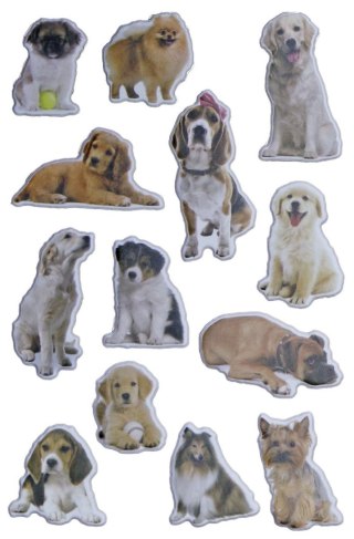 Naklejka (nalepka) Craft-Fun Series Psy Titanum (PPB02)