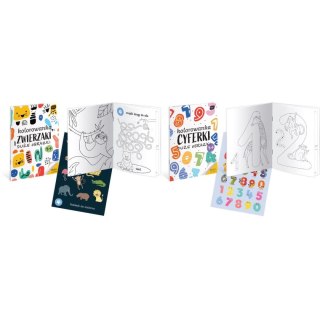 Kolorowanka z naklejkami a4/16 Interdruk (590227752002)