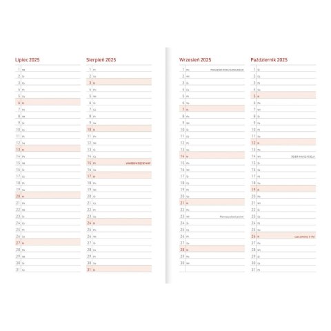 Kalendarz nauczyciela książkowy (terminarz) PCV KOTY bezbarwny A5 Wydawnictwo Wokół Nas (A5TN078B)