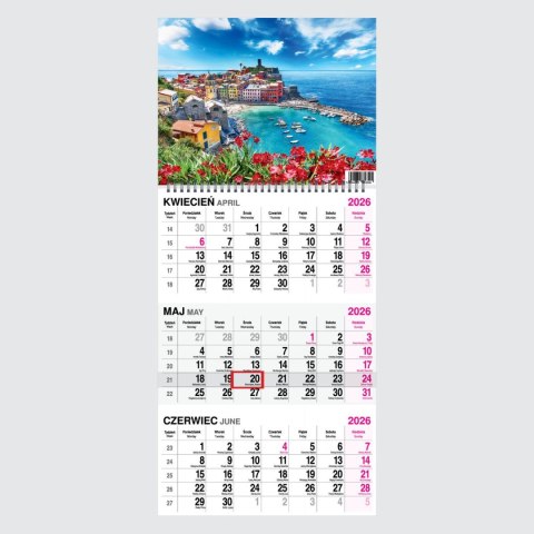 Kalendarz ścienny WIDOK 310mm x 790mm Press