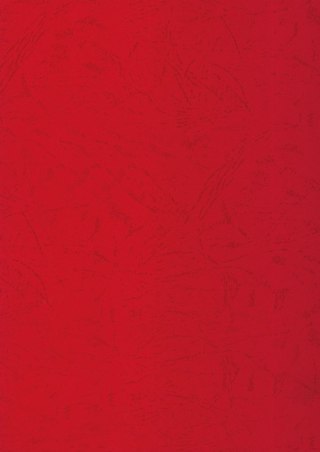 Karton do bindowania A4 skóropodobny czerwony 250g Titanum