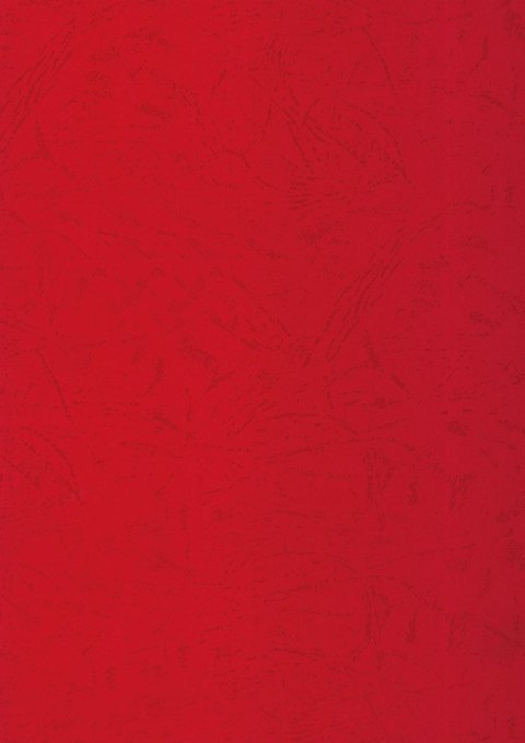 Karton do bindowania A4 skóropodobny czerwony 250g Titanum