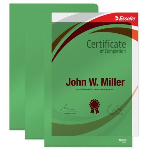 Ofertówka A4 kolor: zielony typu L 150 mic. Esselte (55436)