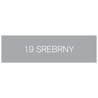 Brystol srebrny 200g 10k [mm:] 860x610 Interdruk (BRY19)