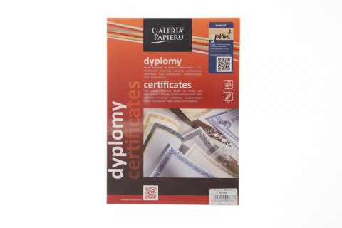Dyplom A4 vera 190g Galeria Papieru (211119)