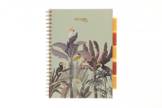 Kołozeszyt (kołonotatnik) A4 AFRYKA pastelowy zielony 100k. 80g krata Strigo (PADS066)