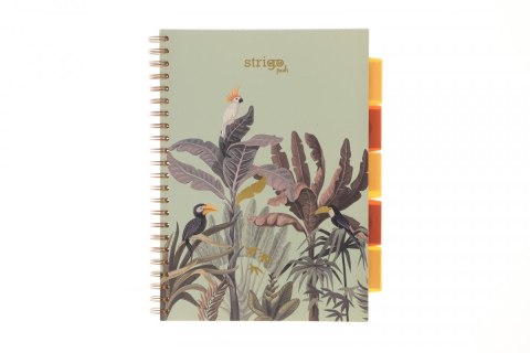 Kołozeszyt (kołonotatnik) A4 AFRYKA pastelowy zielony 100k. 80g krata Strigo (PADS066)